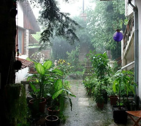 Flaneurstudio * Szentendre